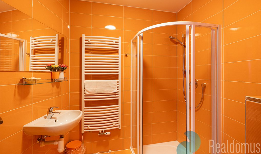Prodej ubytovacího objektu 300 m², Třeboň – náhled fotky 23