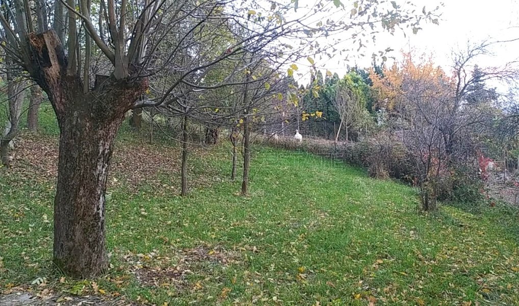 Prodej zahrady 3 492 m², Přílepy – náhled fotky 13