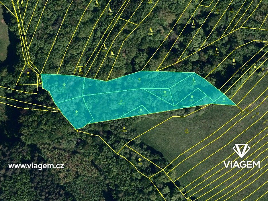 Prodej lesa 1 567 m² – pohled 4