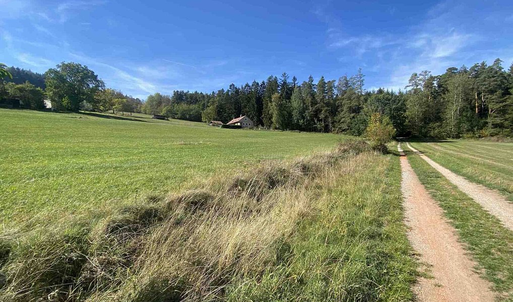 Prodej pozemku 5 614 m², Holubov – náhled fotky 2