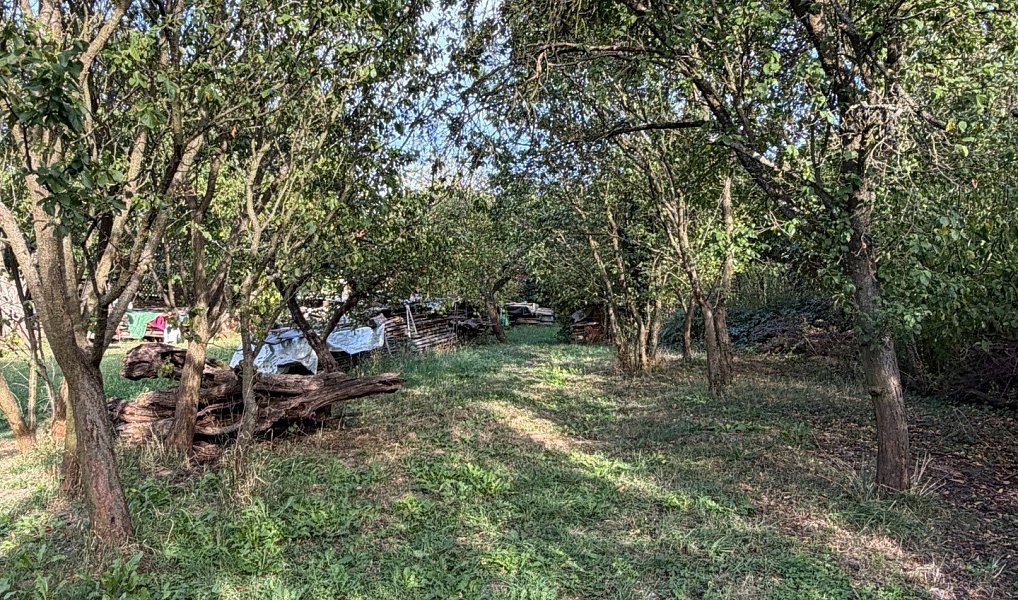 Prodej domu 45 m² s pozemkem 2 083 m², Vřesovice – náhled fotky 16