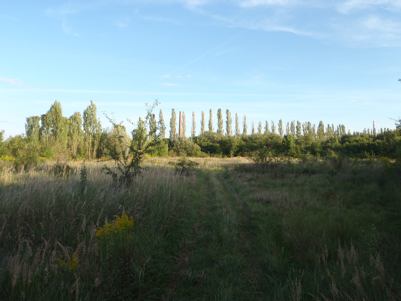 Prodej louky 8 401 m² – fotografie 3