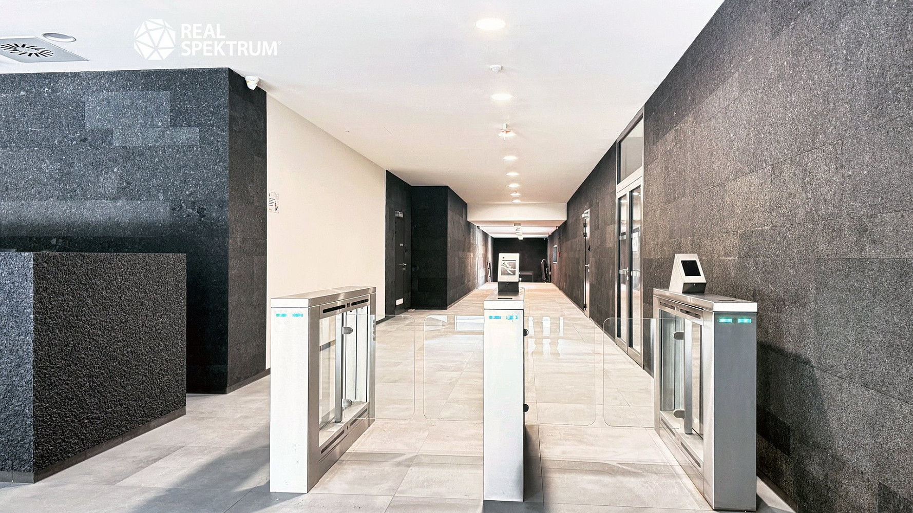 Pronájem kanceláře 241 m² – fotografie 3