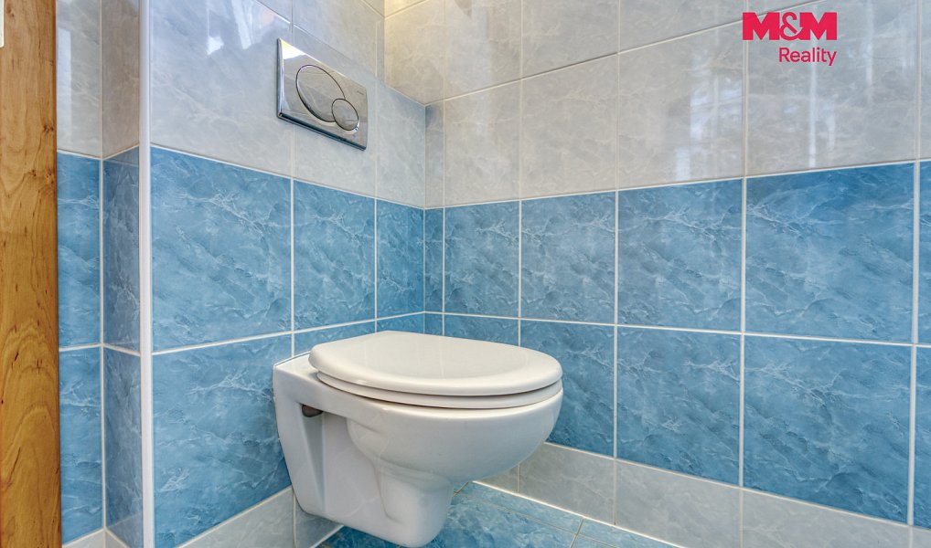 Prodej domu 216 m² s pozemkem 2 272 m², Bohutín – náhled fotky 12