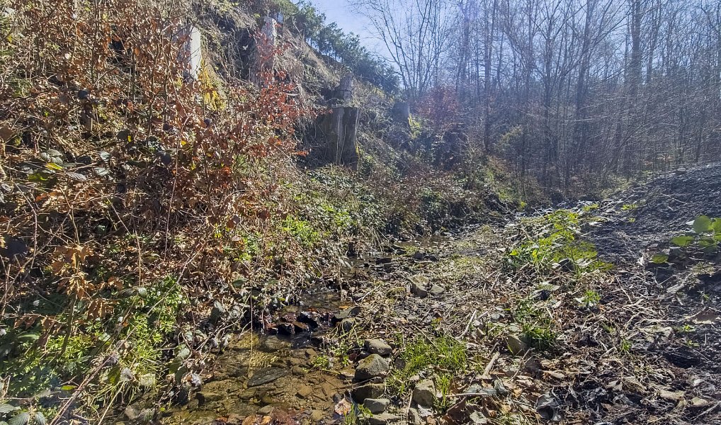 Prodej stavebního pozemku 5 025 m², Horní Bečva – náhled fotky 16
