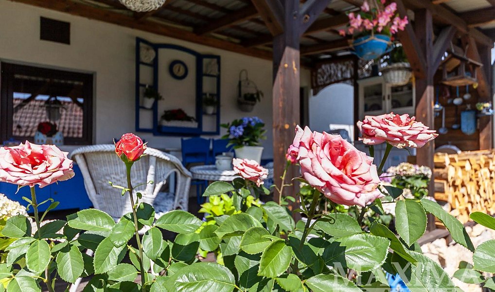 Prodej domu 250 m² s pozemkem 1 555 m², Doubravčice – náhled fotky 21