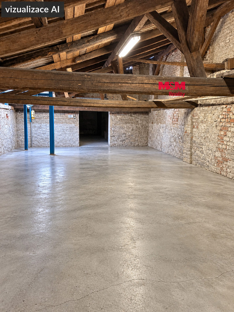 Pronájem obchodních prostor 272 m²