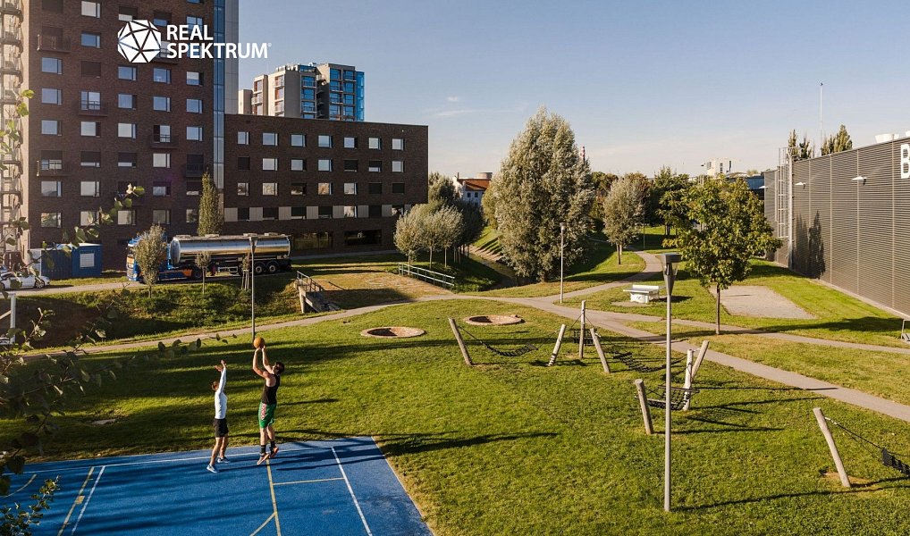 Pronájem kanceláře 893 m², Brno – náhled fotky 12