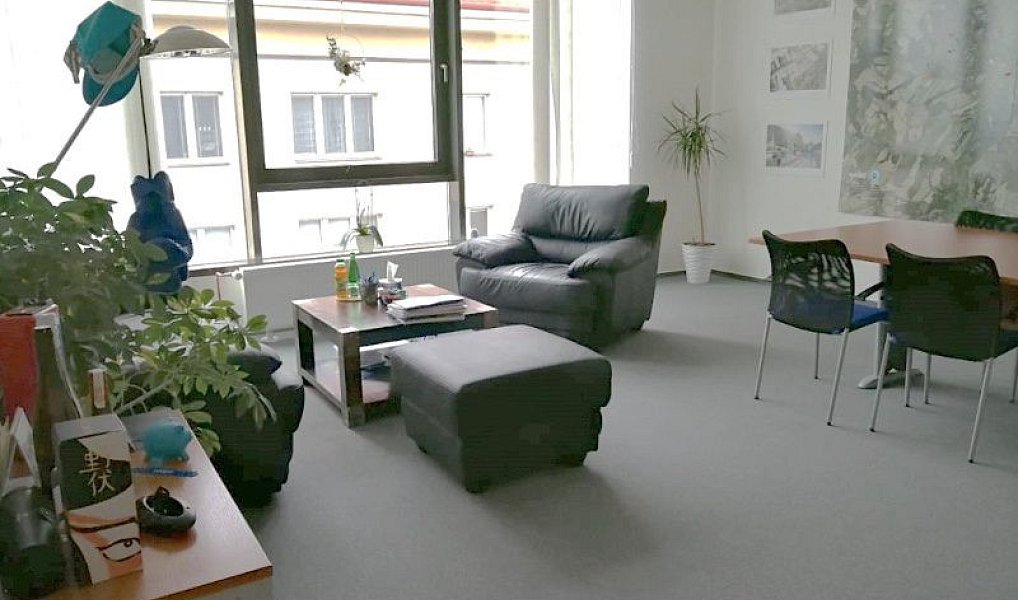 Pronájem obchodních prostor 252 m², Ostrava – náhled fotky 7