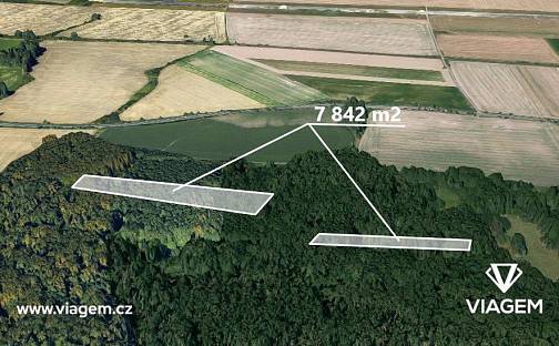 Prodej lesa 7 842 m², Kravaře, okres Opava