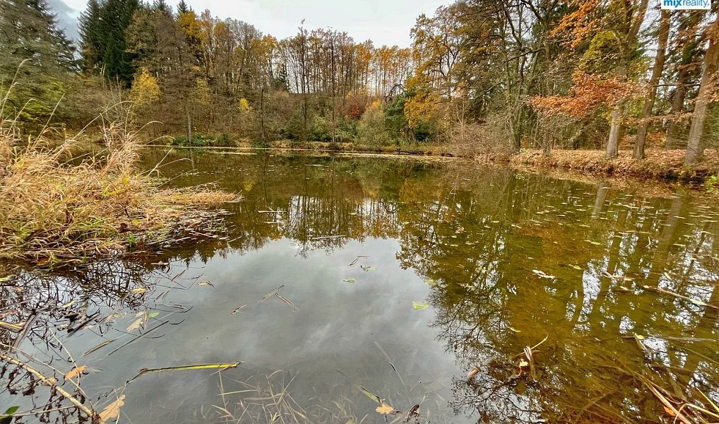 Prodej vodní plochy 14 487 m², Čmelíny – náhled fotky 10