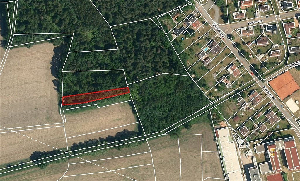 Prodej pole 10 362 m² — photo 4