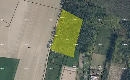 Prodej lesa 6 309 m², Bechlín, okres Litoměřice