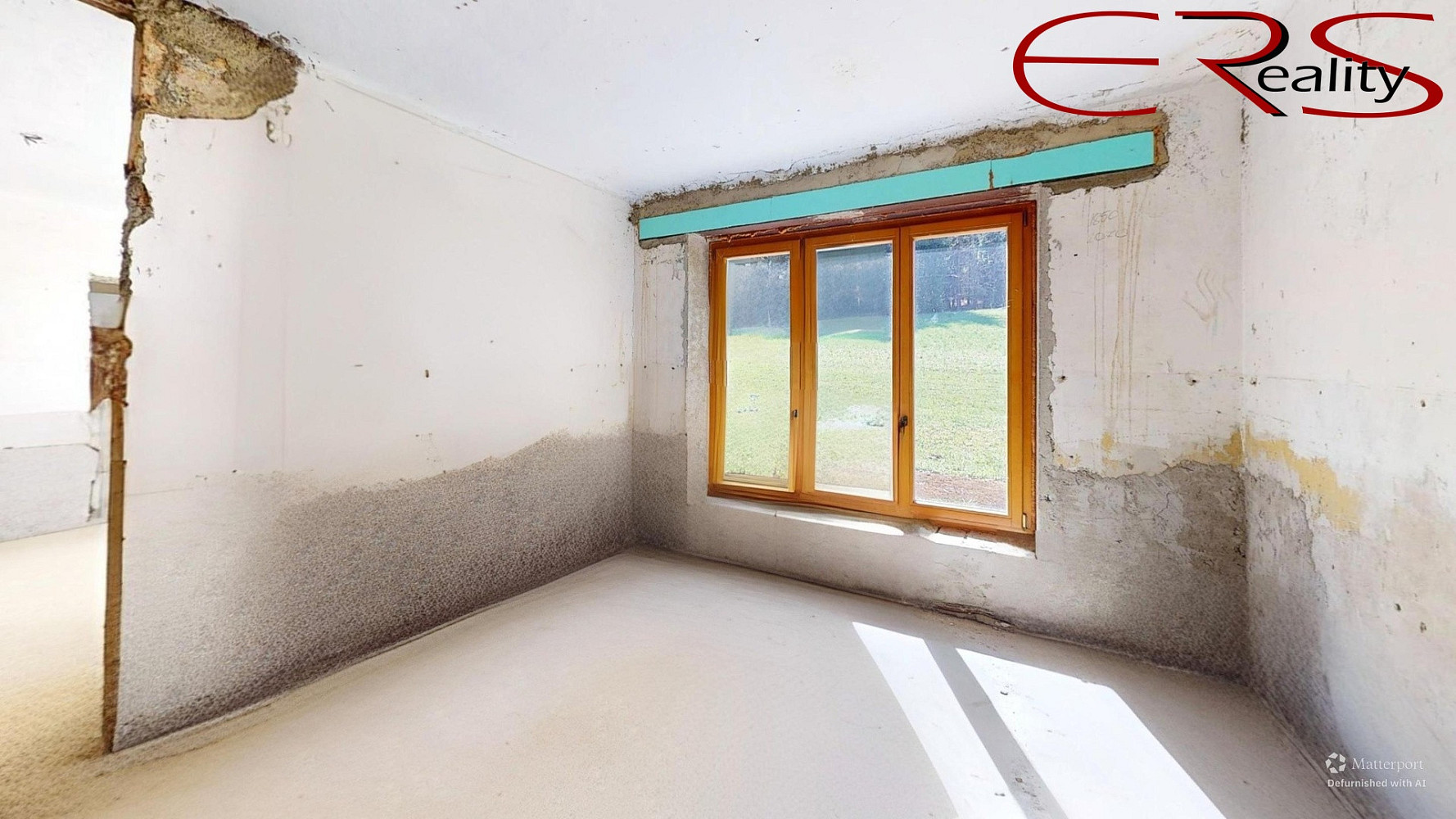 Prodej domu 394 m² s pozemkem 3 898 m² – fotografie 5