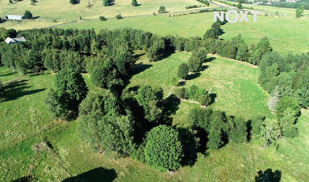 Prodej louky 68 906 m², Hora Svaté Kateřiny – náhled fotky 7