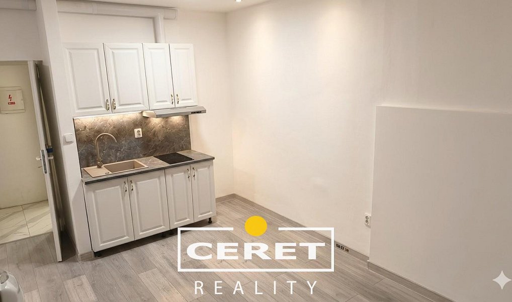 Prodej domu 139 m² s pozemkem 77 m², Žatec – náhled fotky 17