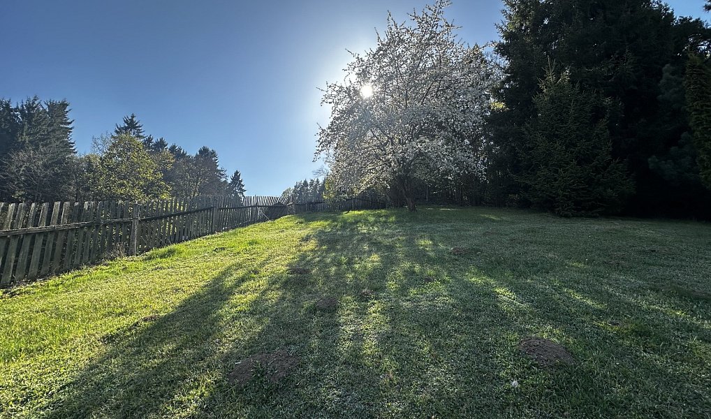 Prodej stavebního pozemku 3 706 m², Stříbrná Skalice – náhled fotky 3