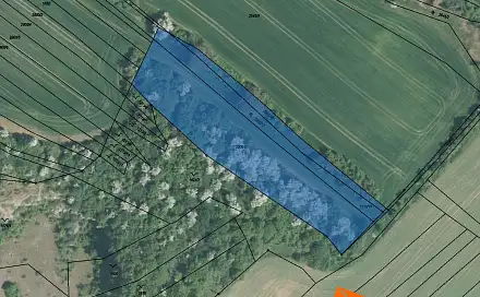 Prodej pole 2 942 m², Drysice, okres Vyškov