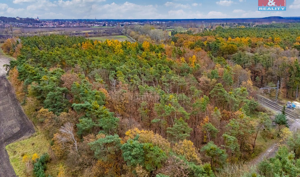Prodej lesa 6 436 m², Lysá nad Labem – náhled fotky 5