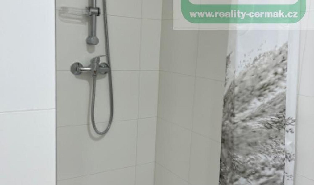Pronájem bytu 1+1 38 m², Domažlice – náhled fotky 11