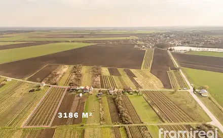Prodej stavebního pozemku 1 593 m², Moravský Žižkov, okres Břeclav