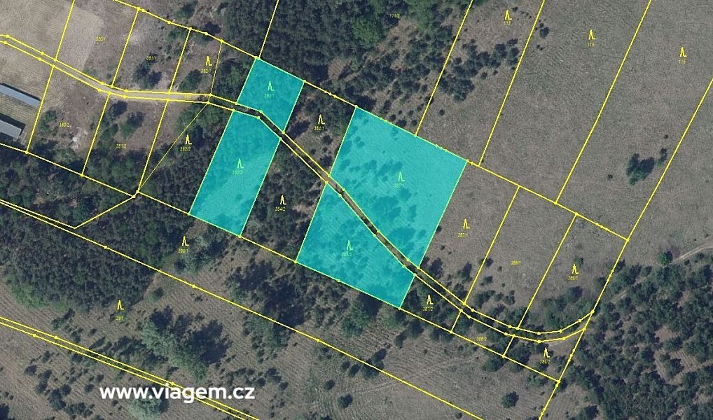 Prodej lesa 3 021 m², Terezín – náhled fotky 2