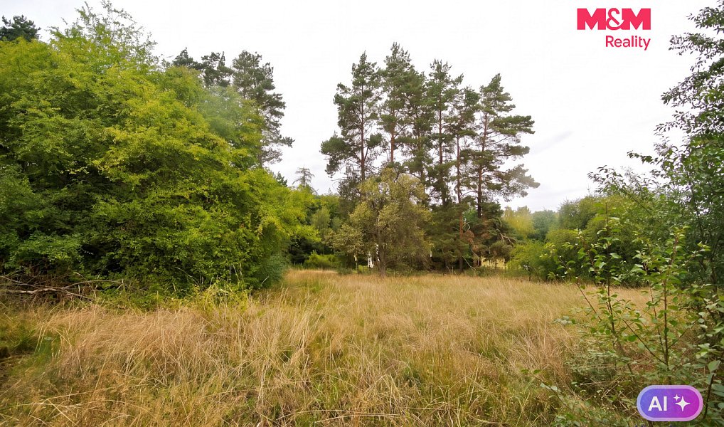 Prodej stavebního pozemku 2 828 m², Družec – náhled fotky 6