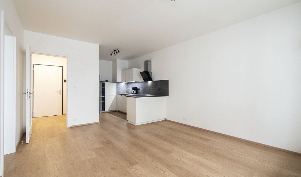 Pronájem bytu 2+kk 49 m², Praha – náhled fotky 4