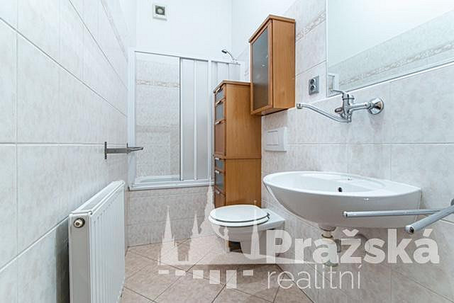 Pronájem bytu 1+1 50 m² — photo 3