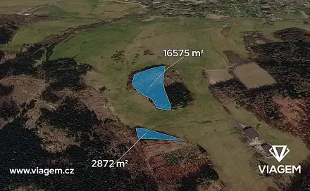 Prodej lesa 3 241 m², Horní Podluží, okres Děčín