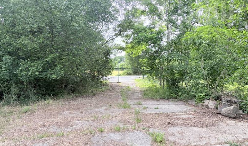 Pronájem louky 3 000 m², Pardubice – náhled fotky 3