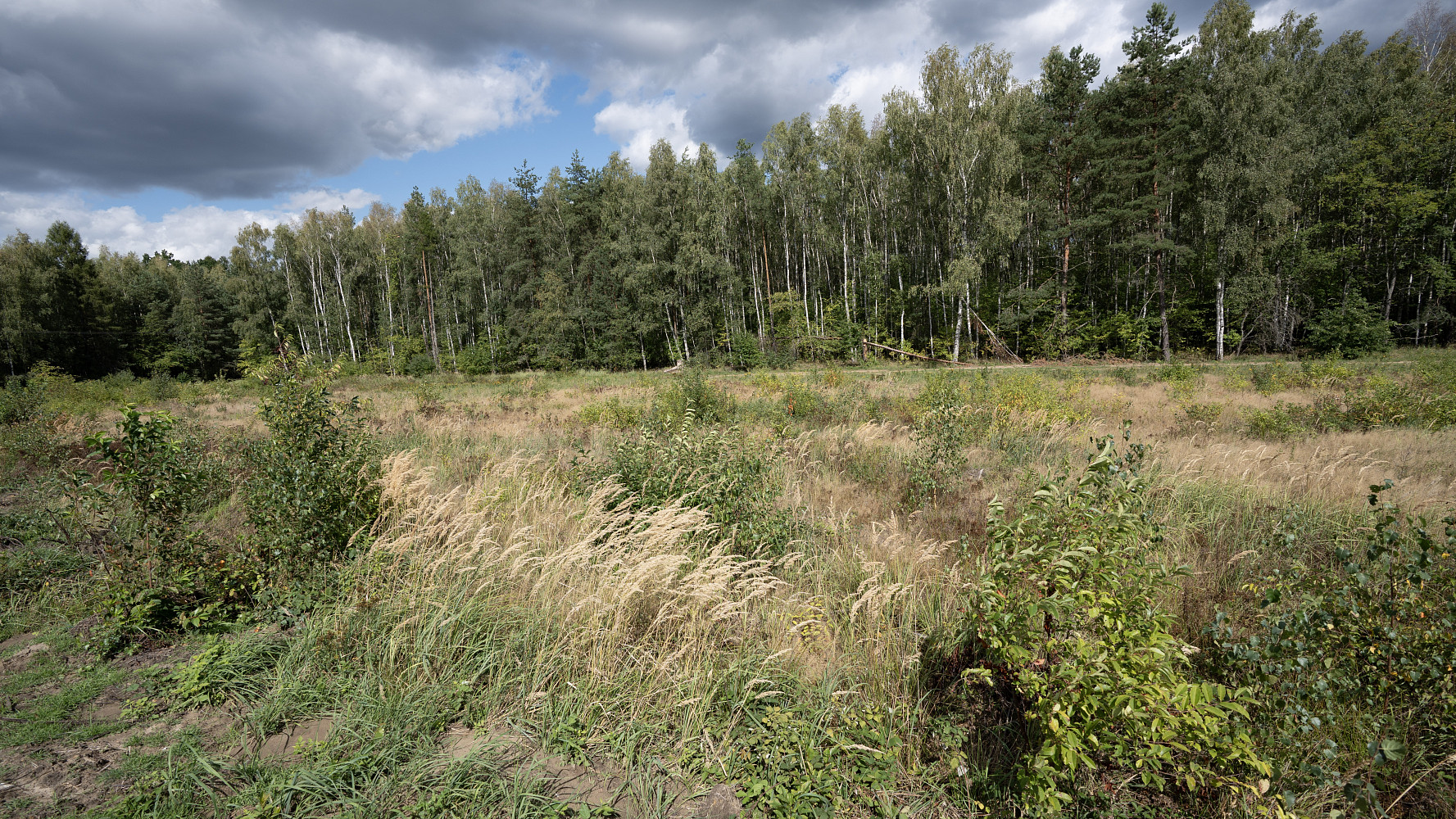 Prodej stavebního pozemku 1 255 m² – fotografie 5