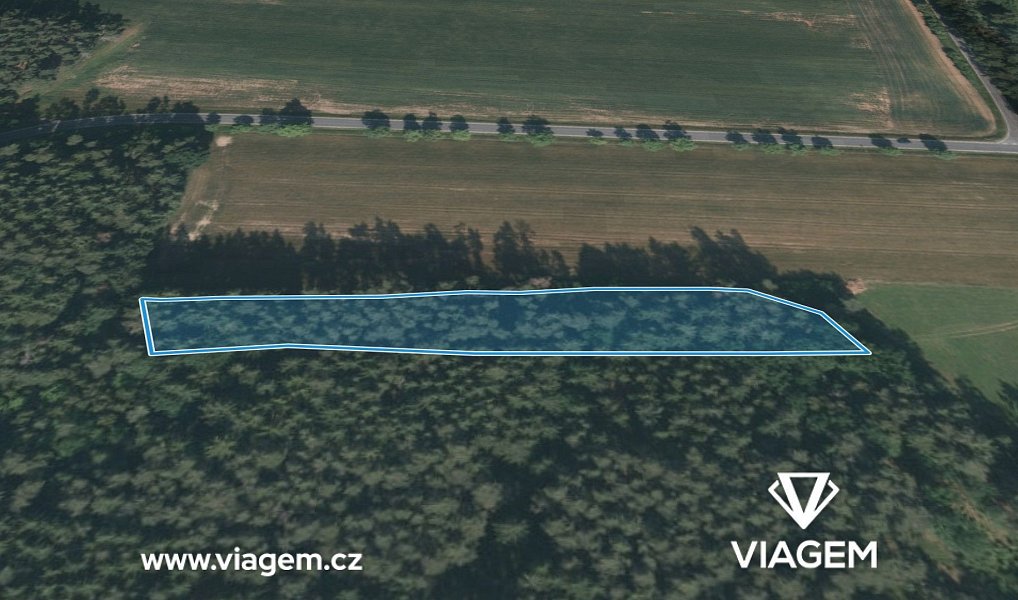 Prodej lesa 1 820 m², Manětín – náhled fotky 2