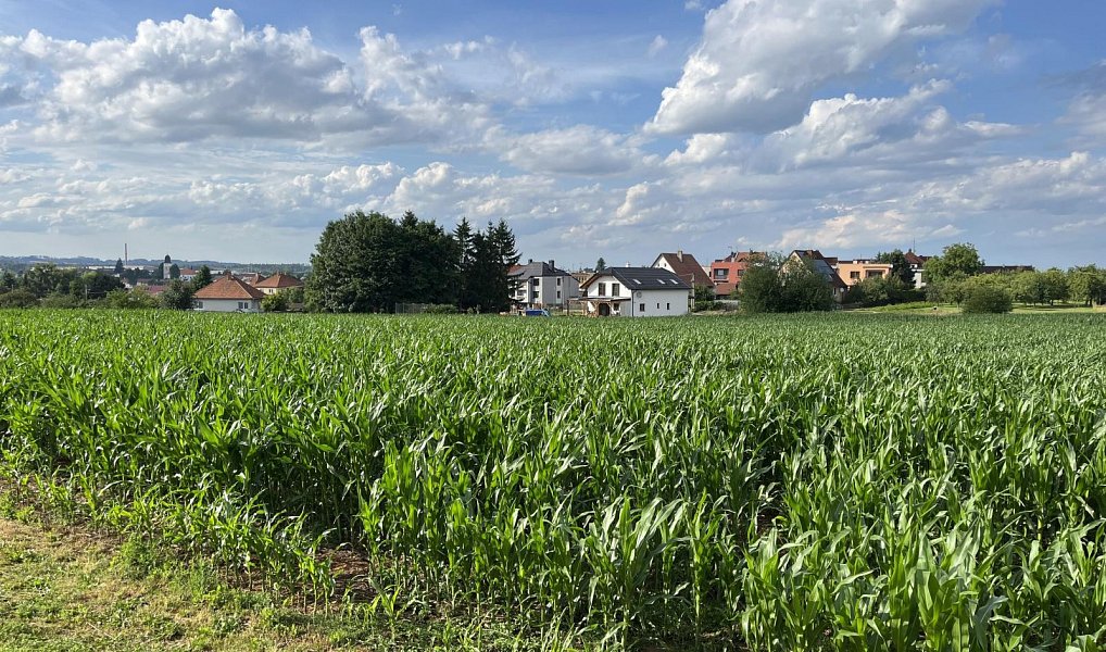 Prodej stavebního pozemku 4 468 m², Velká Bíteš – náhled fotky 9