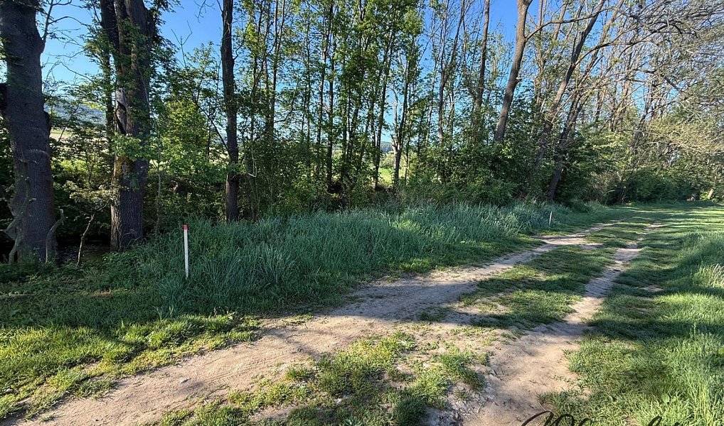 Prodej zahrady 1 297 m², Záhorovice – náhled fotky 3