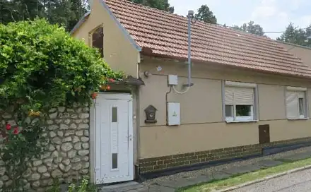 Dražba domu 1 097 m² s pozemkem 1 253 m², Vinařská, Zaječí, okres Břeclav