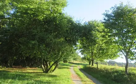 Dražba zahrady 75 m², Chrudim