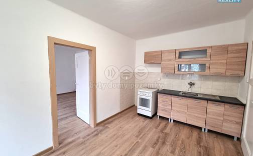 Pronájem bytu 1+1 60 m², Ostrava - Moravská Ostrava
