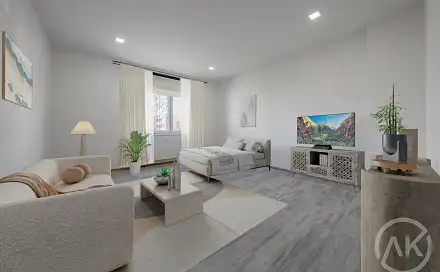 Pronájem bytu 1+1 45 m²