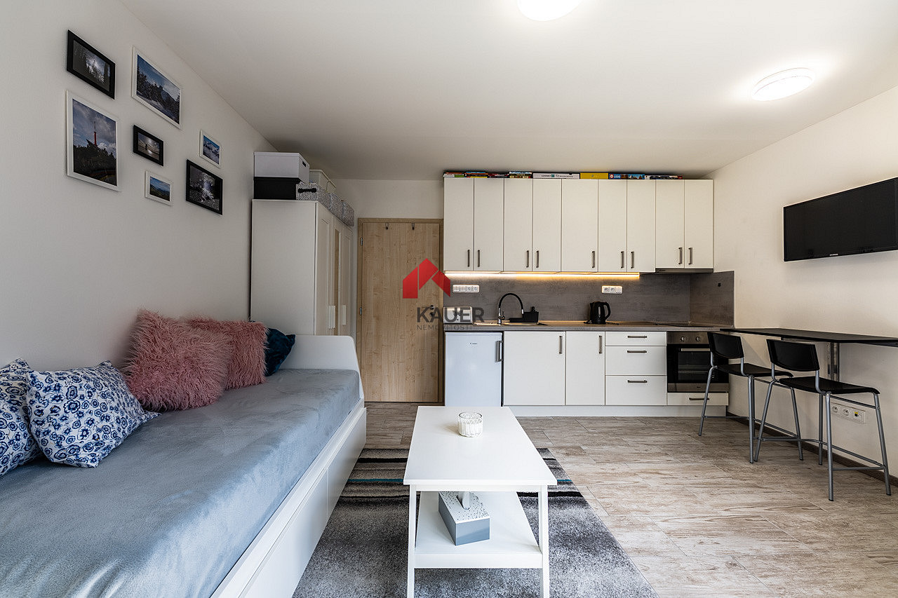 Pronájem bytu 1+kk 25 m² — photo 3
