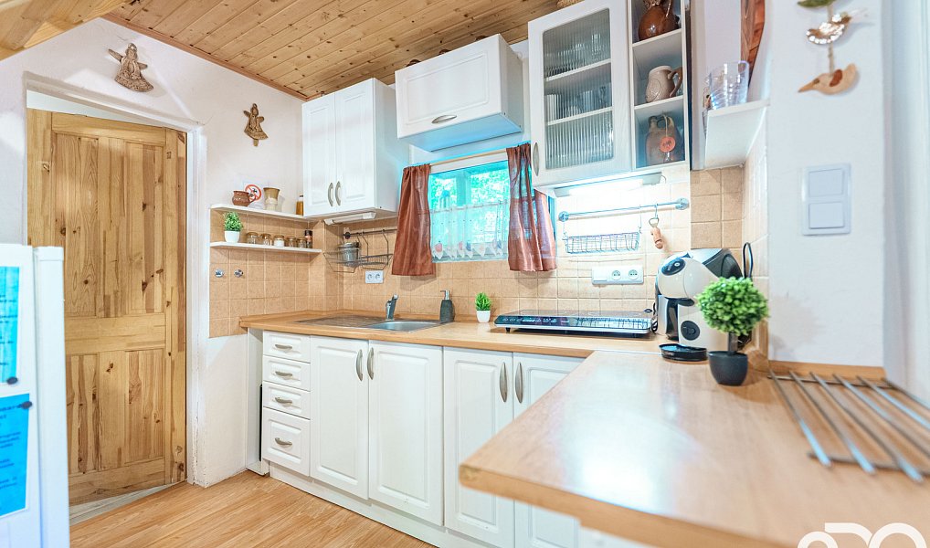 Prodej chaty/chalupy 30 m² s pozemkem 30 m², Ráby – náhled fotky 35