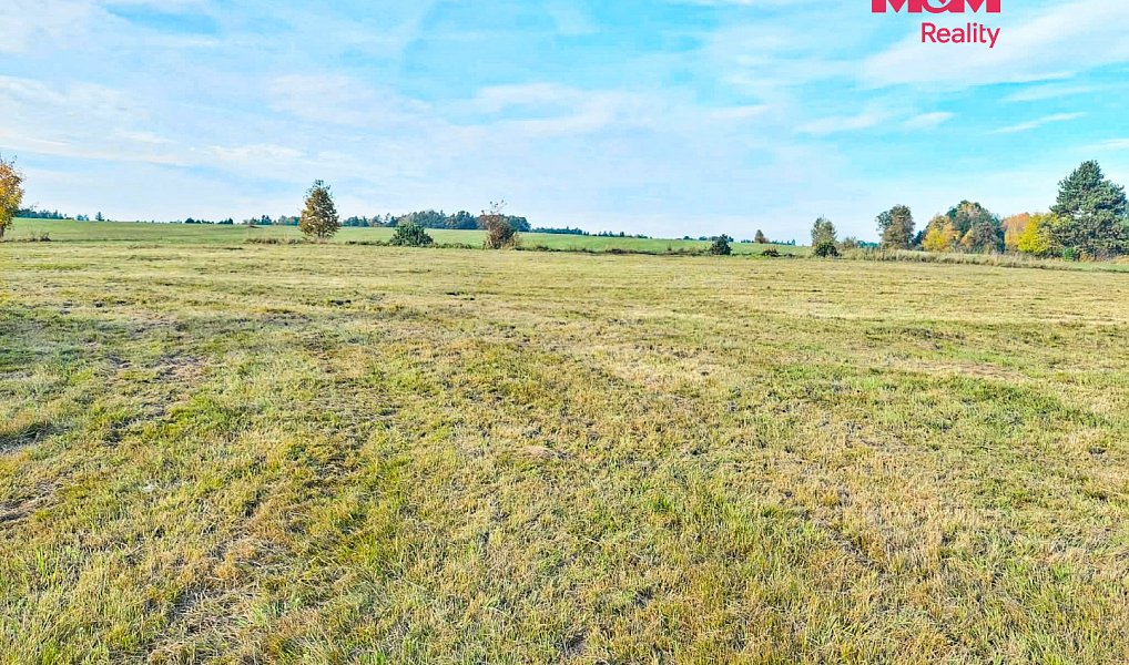 Prodej stavebního pozemku 9 359 m², Pertoltice – náhled fotky 9