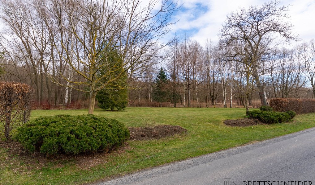 Prodej zahrady 3 160 m², Město Albrechtice – náhled fotky 18