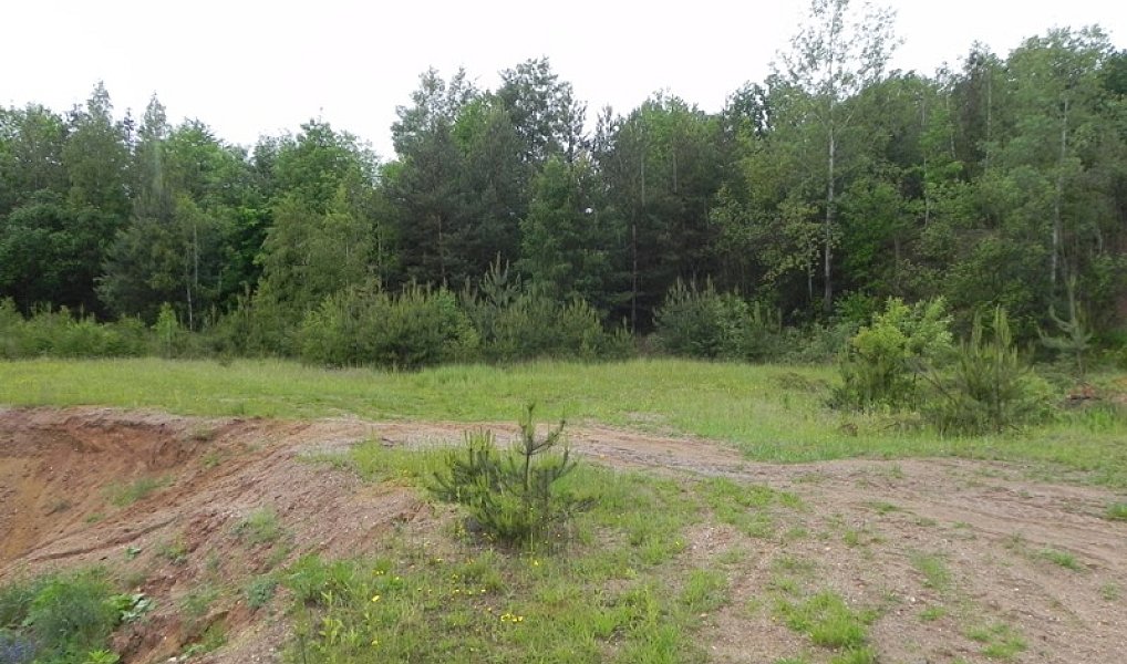 Prodej pozemku 32 257 m², Bohušov – náhled fotky 6