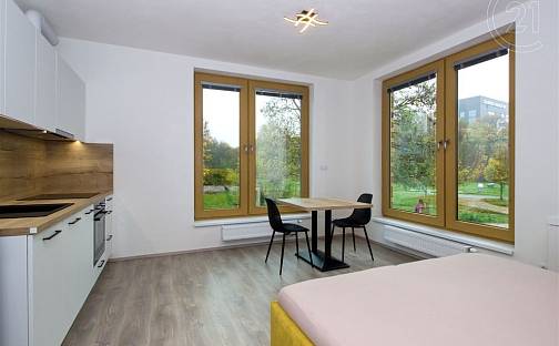 Pronájem bytu 1+kk 33 m², Bolevecká, Plzeň - Severní Předměstí