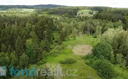 Prodej pozemku 27 662 m², Slavonice - Stálkov, okres Jindřichův Hradec