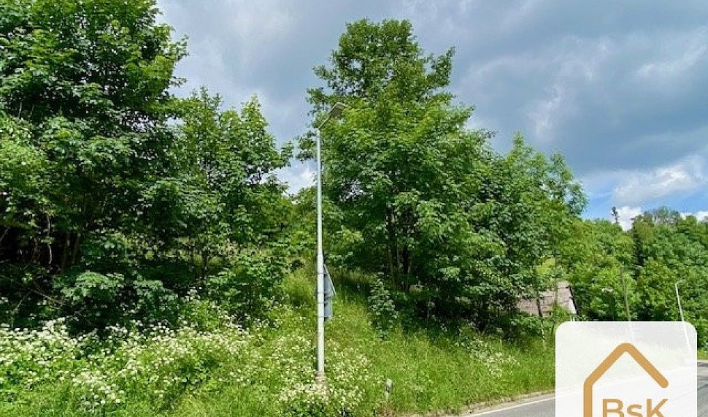 Prodej stavebního pozemku 2 434 m², Koberovy – náhled fotky 3