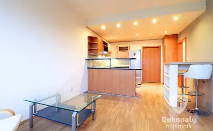 Pronájem bytu 3+kk 56 m²