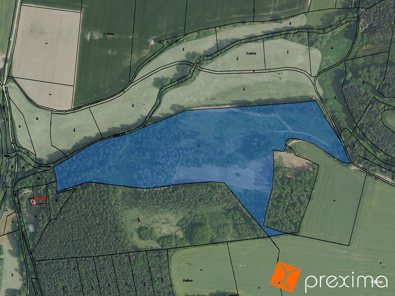 Prodej lesa 3 200 m²