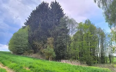 Prodej pozemku 927 m², Lipová - Mýtina, okres Cheb